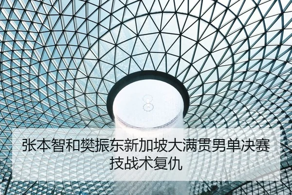 张本智和樊振东新加坡大满贯男单决赛技战术复仇