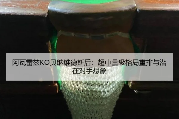 a-wa-lei-zi-bei-na-wei-de-si-hou-chao-zhong-liang-ji-ge-ju-zhong-pai-yu-qian-zai-dui-shou-xiang-xiang-2-503.jpg